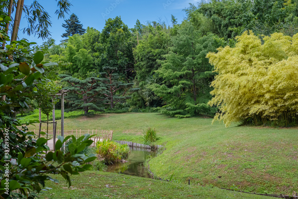 Jardin zen Japonais avec un ruisseau et verdure. Jardin zen Japonais avec un ruisseau et verdure.
