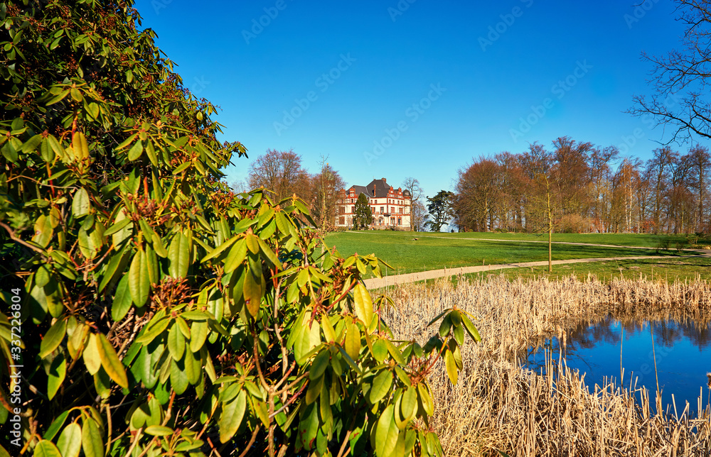 Obraz premium Rhododendron at the castle pond with Wiligrad Castle in the background. Germany