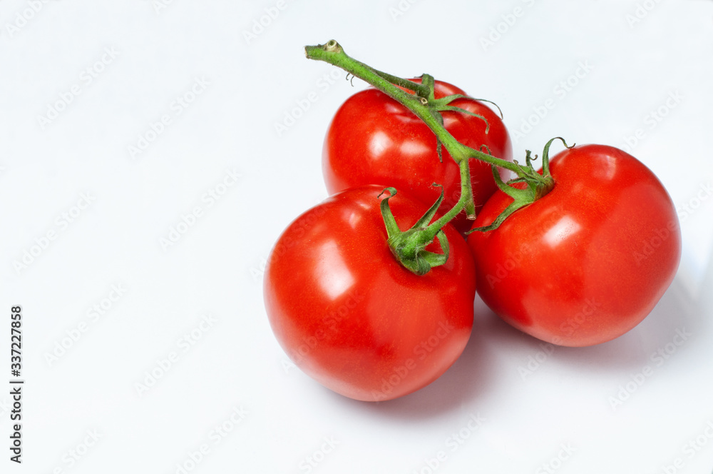 three tomatoes at a twig on white background three tomatoes at a twig on white background