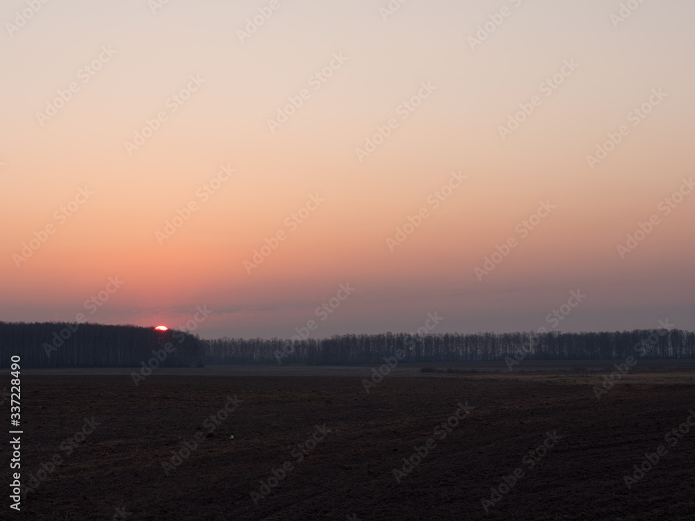 the red sun rises from the forest at dawn