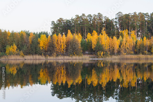 Autumn forest on the shore of the lake.