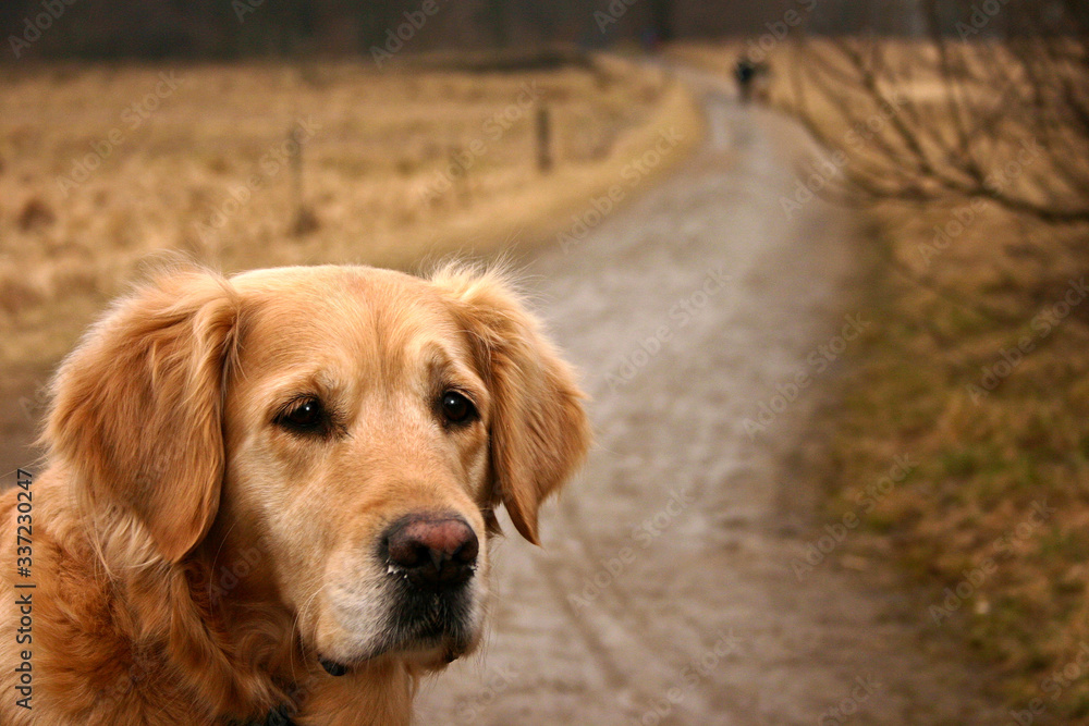 Birkerød sjælsøstien over sjælsø