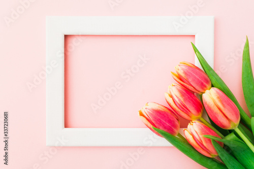Flower holiday art design background with pink tulips on pink background
