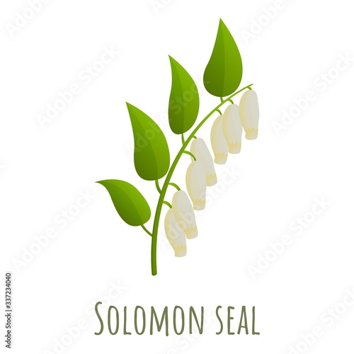 Solomon seal polygonatum icon. Cartoon of solomon seal polygonatum vector icon for web design isolated on white background