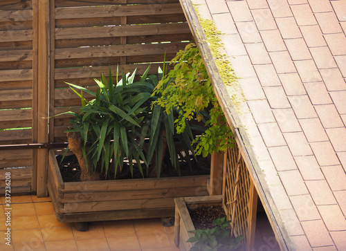 Closeup of a terrace with garden furniture on a warm, summer day photo