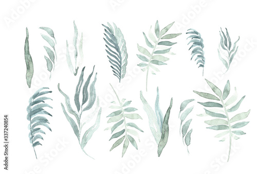 Green tropical palm leaves set watercolor on the wight background. Trendy summer print.