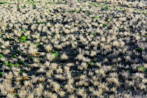 The beautiful slopes of the mountain with the background of desert plants