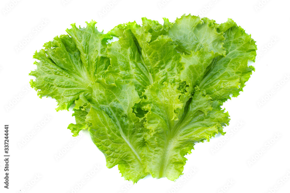 Fresh organic green leaves vegetable on white background. picture used for clean healthy food backdrop. Eating salad to control weight. Fresh organic green leaves vegetable on white background. picture used for clean healthy food backdrop. Eating salad to control weight.