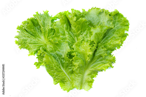 Fresh organic green leaves vegetable on white background. picture used for clean healthy food backdrop. Eating salad to control weight.