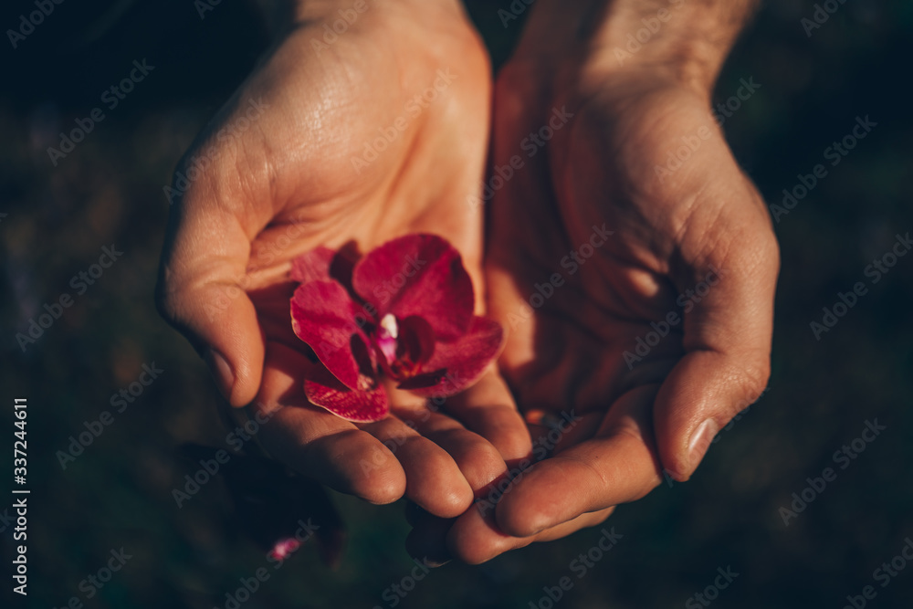 Man hand flowers. Man hand flowers.