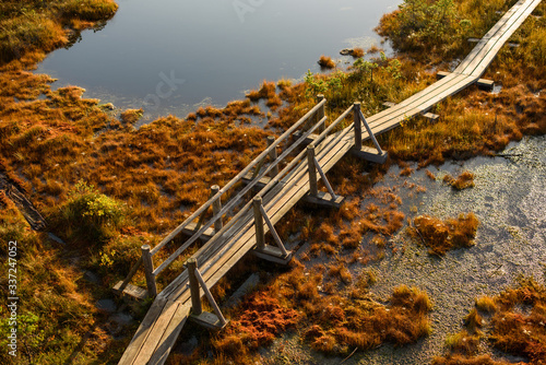 Great Kemeri Bog Boardwalk in Kemeri, Latvia. photo