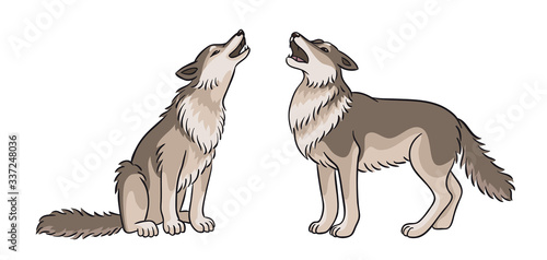Two howling grey wolves - vector illustration