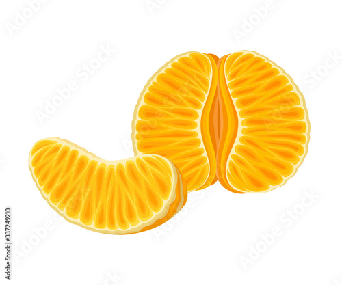 Fresh Peeled and Halved Mandarin or Tangerine Fruit Isolated on White Background Vector Illustration