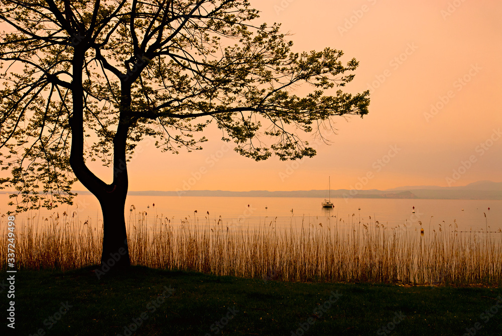 Fototapeta premium Bardolino Strand mit Segelbooten
