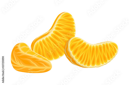 Fresh Peeled and Segmented Mandarin or Tangerine Fruit Isolated on White Background Vector Illustration