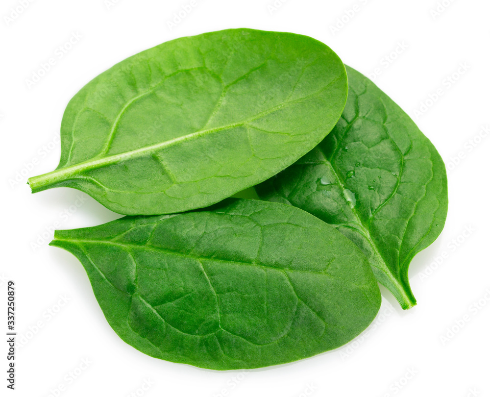 Obraz premium Fresh spinach on white background