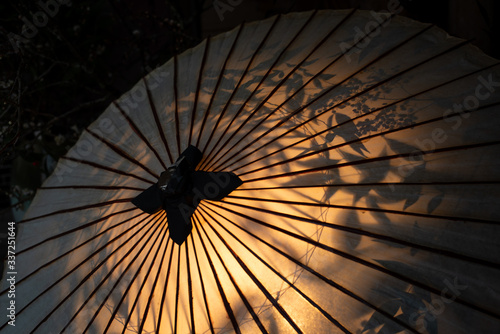 和傘にうつる植物の影