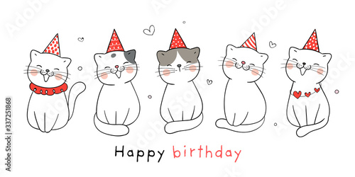 Draw banner cute cat with party hat for birthday.