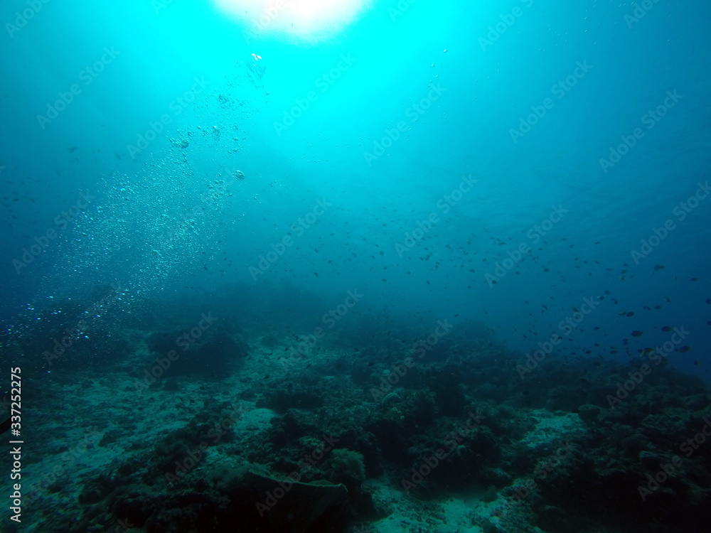 Underwater Underwater