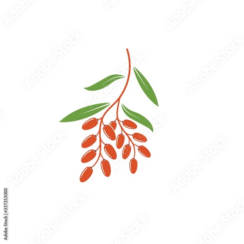 date fruit vector illustration design