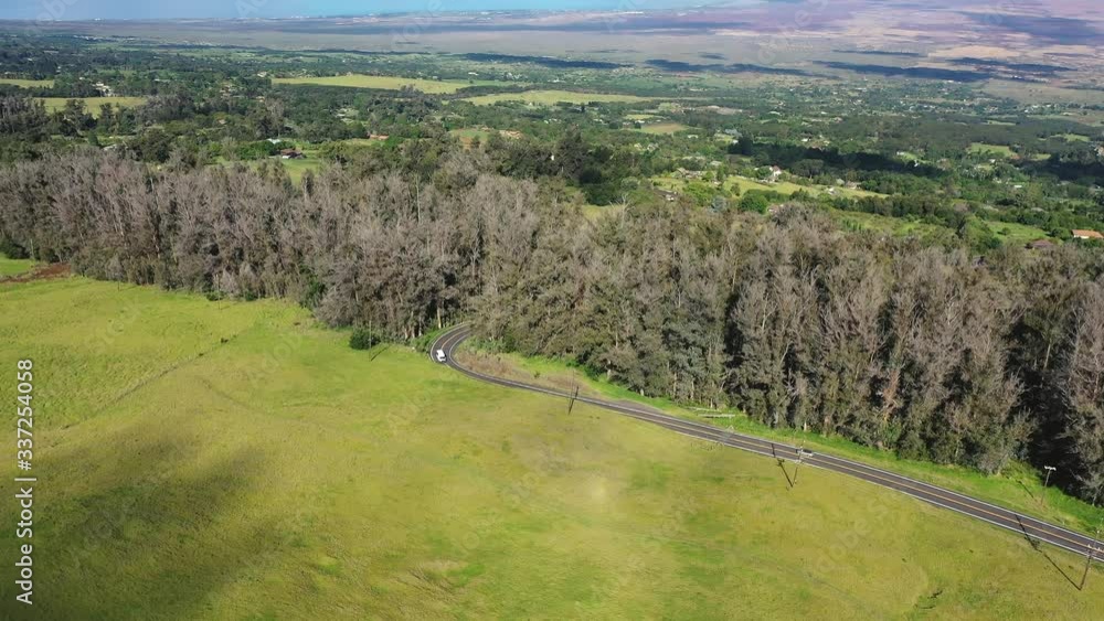 High aerial landscape view of green sea and green meadow, pan down High aerial landscape view of green sea and green meadow, pan down