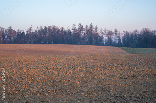 field at sunrise with trees  czech
