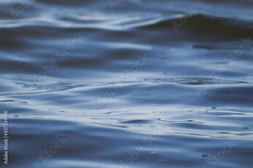 Waves on the surface of the lake 