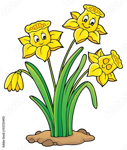 Narcissus flower theme image 1
