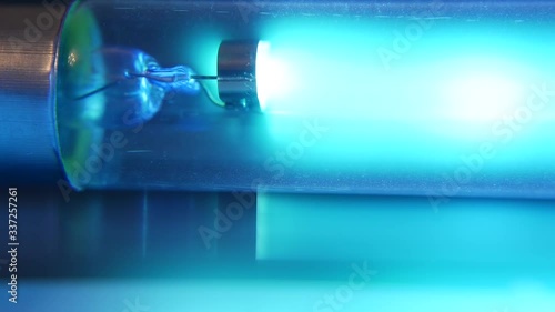 Blue neon uv bulb. Ultraviolet antibacterial bactericidal quartz medicine lamp, air disinfection and purification. Protection from bacteria and viruses. Coronavirus pandemic, covid or ncov epidemic