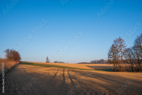 Field at sunrise with a little fog and beautiful colors in spring