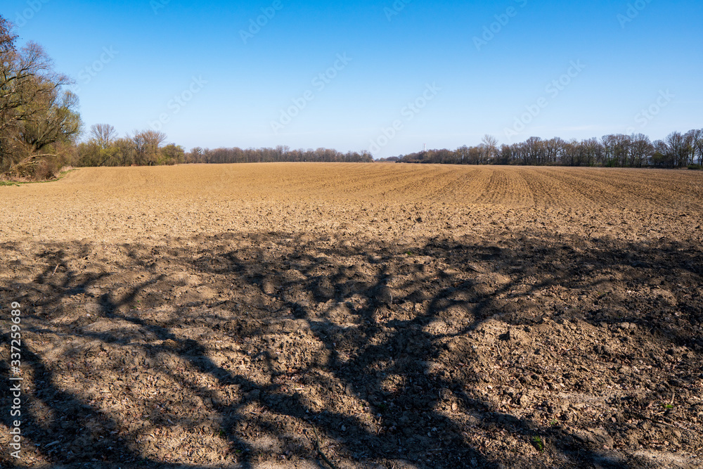 field ready for seedling in spring field ready for seedling in spring