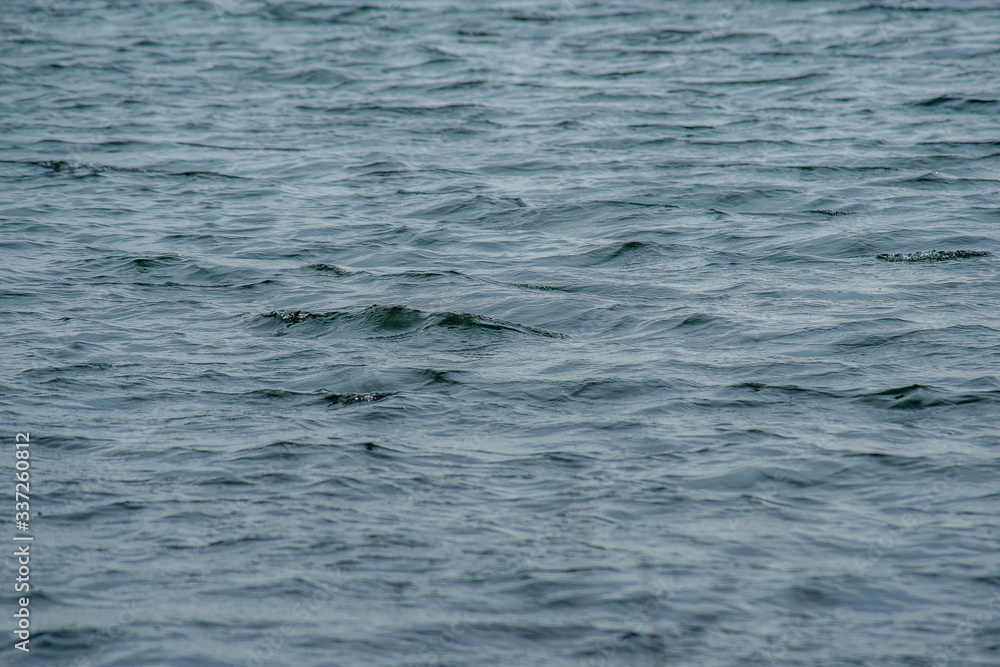 waves on the surface of the lake waves on the surface of the lake