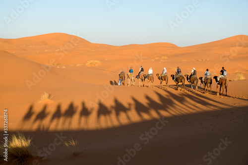 Camel trip in Sahara dunes, Morocco.