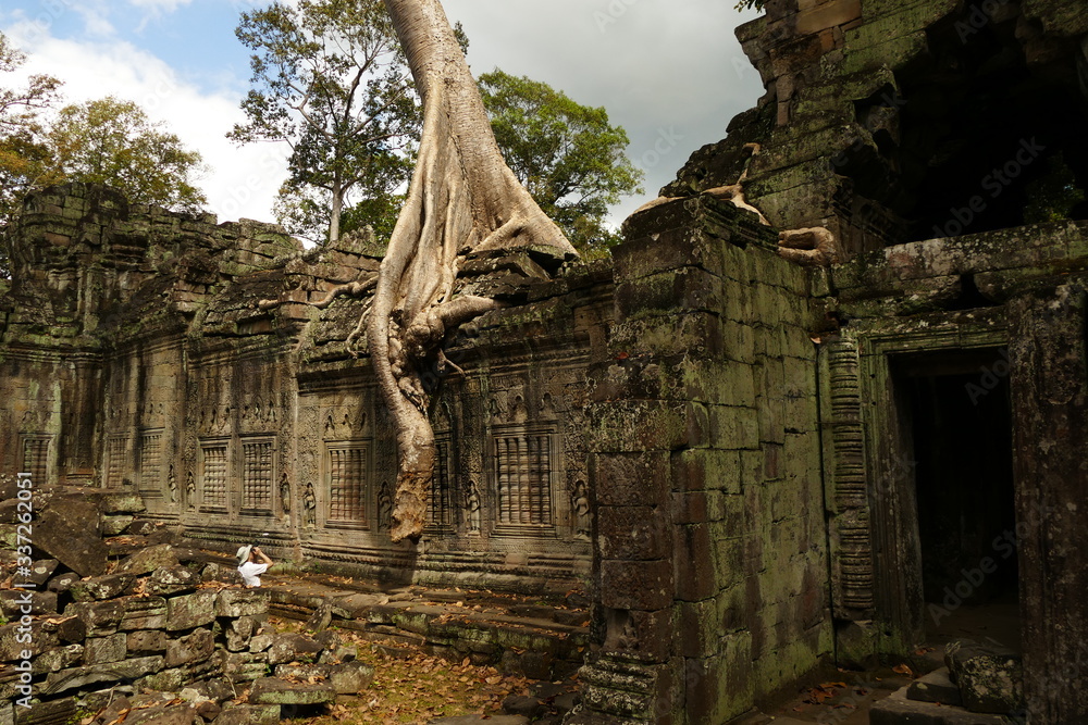 Fototapeta premium Ta prohm temple angkor in cambodia with a huge tree on the top which look wonderful 