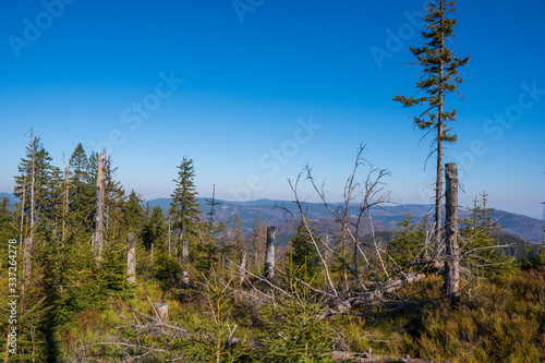 Old ruined forest on mountain top, Czech and slovakia border Velky Polom