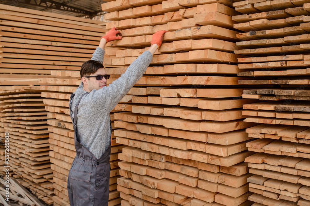 Lateral view of young man carpenter at the wooden warehouse Lateral view of young man carpenter at the wooden warehouse