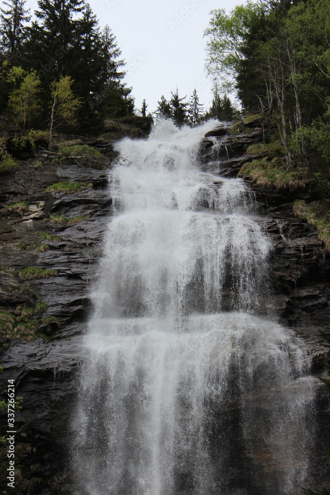 Fototapeta premium Fall