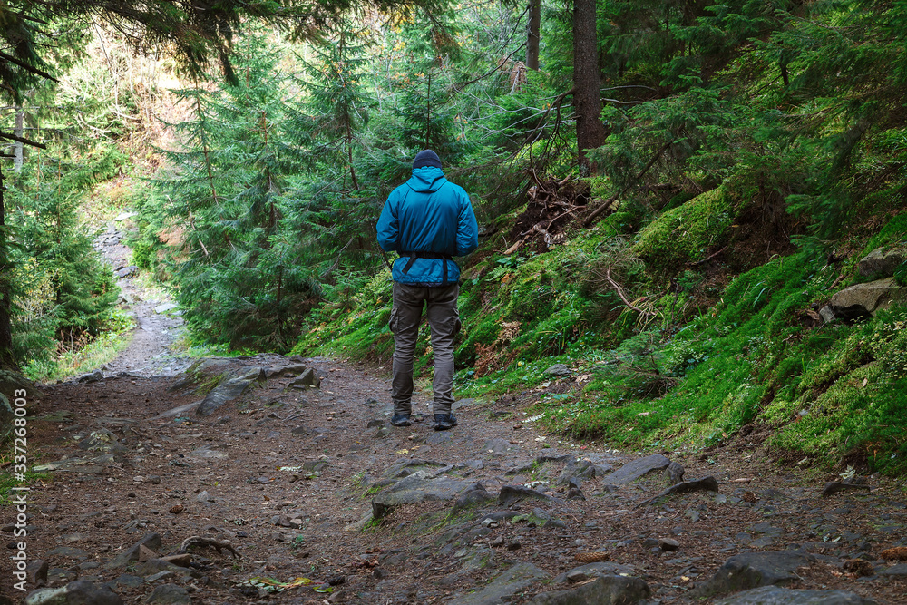 Lone traveler on a forest trail in the mountains Lone traveler on a forest trail in the mountains