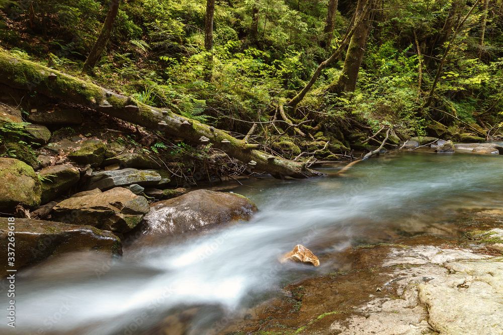 Mountain river creek among stones and trees Mountain river creek among stones and trees