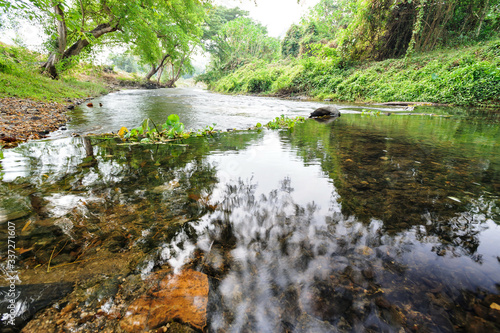 Water stream  forest