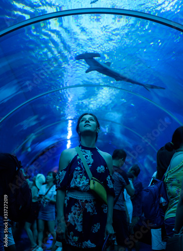 the girl in the aquarium looks up at the swimming shark