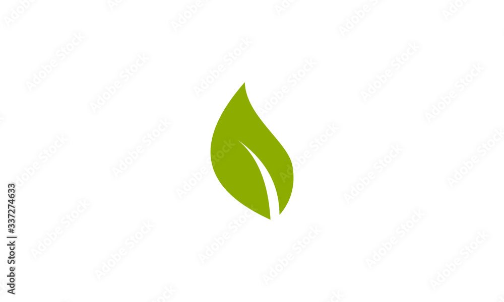 green leaf isolated on white green leaf isolated on white