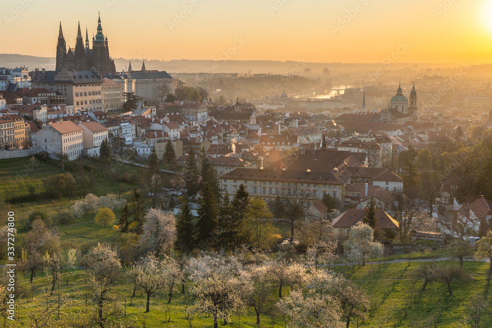 Scenic view of Prague tiled roofs during sunrise in spring. Towers of St Vitus and St. Nicholas church seen from Petrin hill viewpoint. Romantic golden sun glow in morning and blooming trees in a park