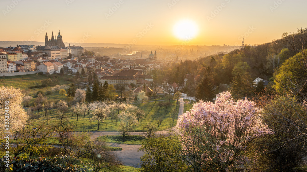 Fototapeta premium Scenic view of Prague cityscape during sunrise in spring. Towers of St Vitus and St. Nicholas church seen from Petrin hill viewpoint. 