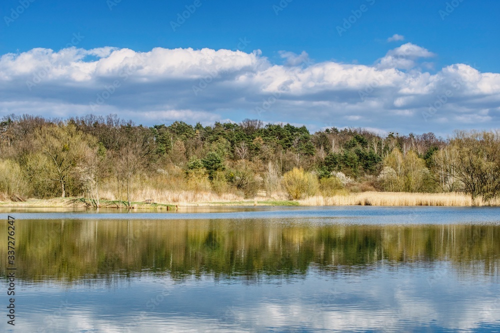 wczesnowiosenna panorama jeziora, słoneczny wiosenny dzień, las na początku wiosny, spokojna tafla jeziora