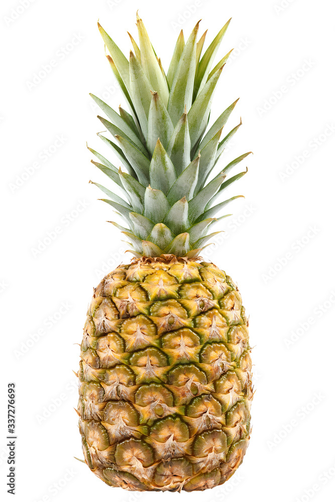 Fresh pineapple fruit isolated on a white background Fresh pineapple fruit isolated on a white background