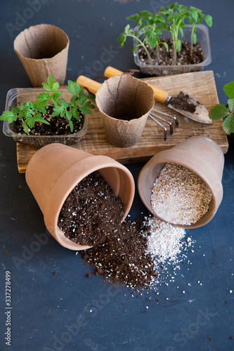 A mixture of ground, perlite and vermiculite. The concept growing vegetables indoor. Pot with soil for growing tomato. Substrate for seedlings. Organic farming, eco-farm.