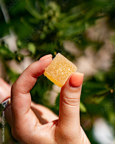 edibles marijuana gummy
