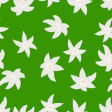 Seamless pattern with hand drawn doodle flowers. Floral vector background.
