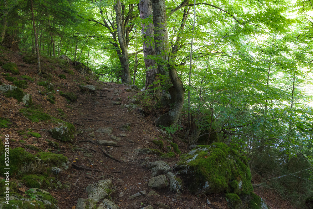 Beautiful view of mountain forest with hiking path. Macedonia. Greece. Beautiful view of mountain forest with hiking path. Macedonia. Greece.